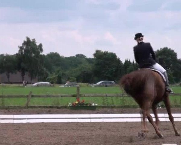 Weser Ems Meisterschaften Cloppenburg 2012