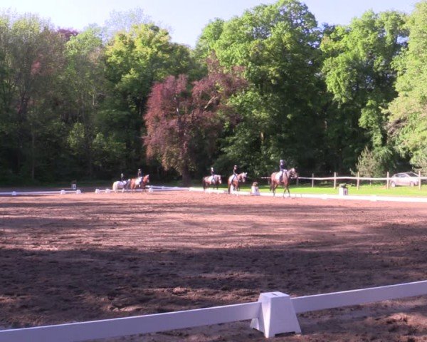 Reitturnier Helmsdorf 2024