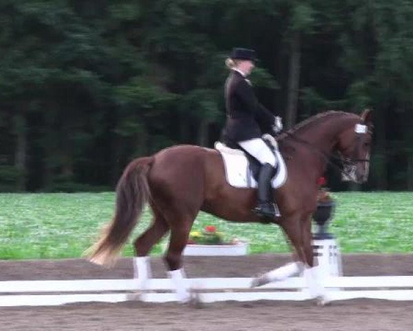 Weser Ems Meisterschaften Cloppenburg 2012