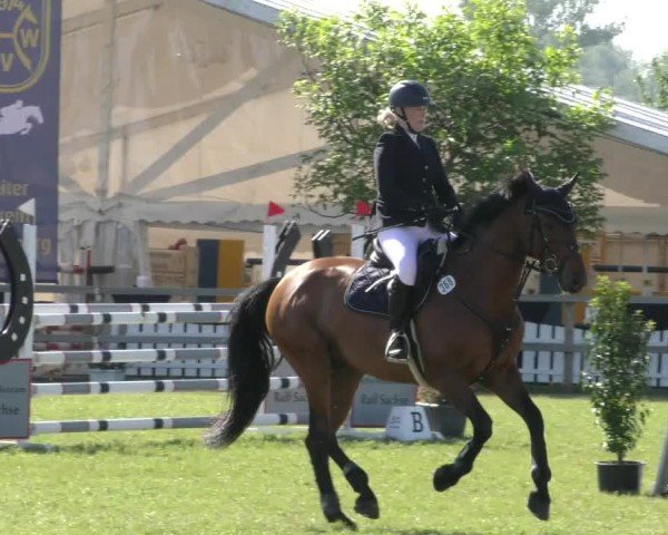 Reitturnier Wilkenburg 2024
