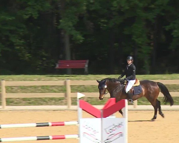 Reitturnier Tiefenhof/Opf. 2024