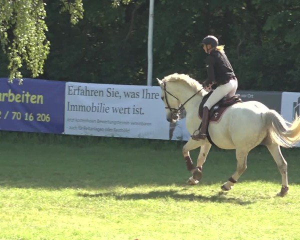 Reitturnier Scharnebeck 2024