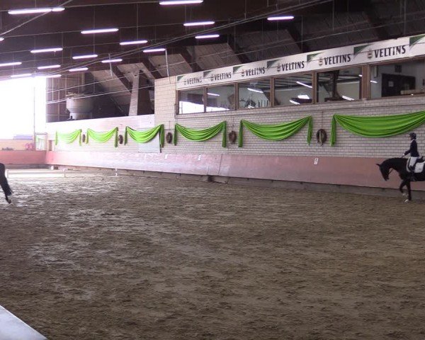 Reitturnier Hellefeld 2024