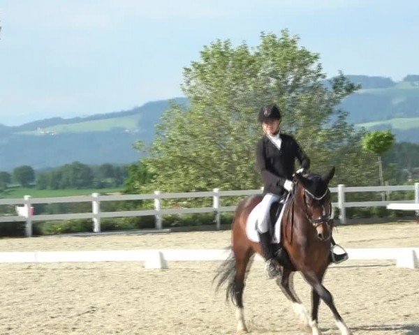 Reitturnier St. Margarethen 2024