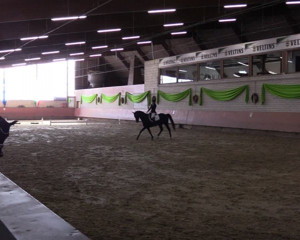 Reitturnier Hellefeld 2024