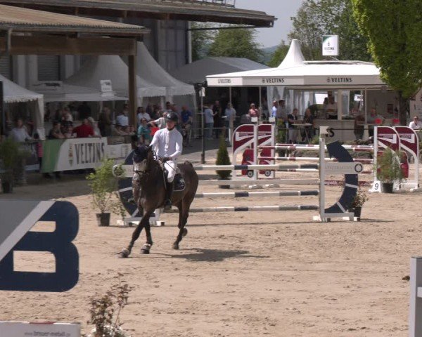 Reitturnier Hellefeld 2024