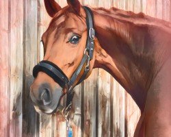 Pferd Farruca (Hannoveraner, 2017, von For Romance I)