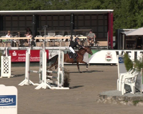 Reitturnier Hellefeld 2024