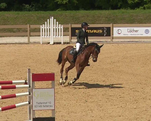 Reitturnier Tiefenhof/Opf. 2024