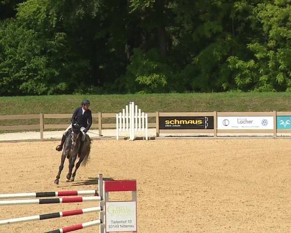 Reitturnier Tiefenhof/Opf. 2024