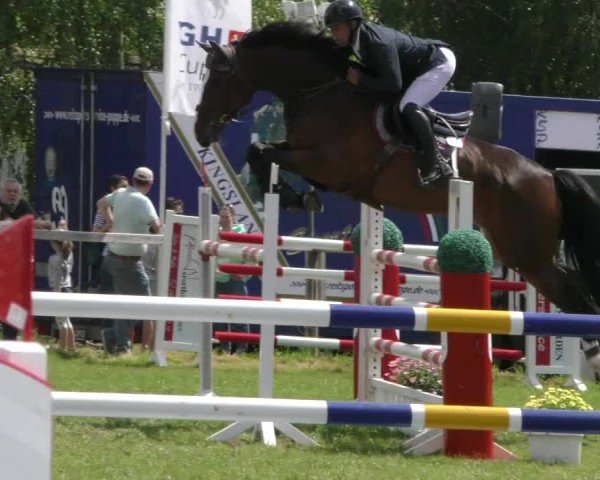 Reitturnier Wilkenburg 2024