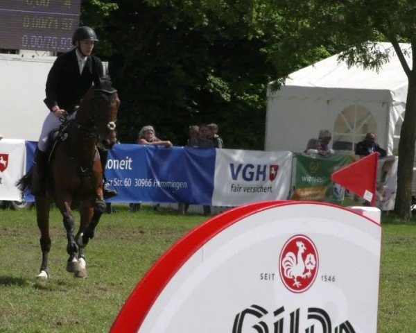 Reitturnier Wilkenburg 2024