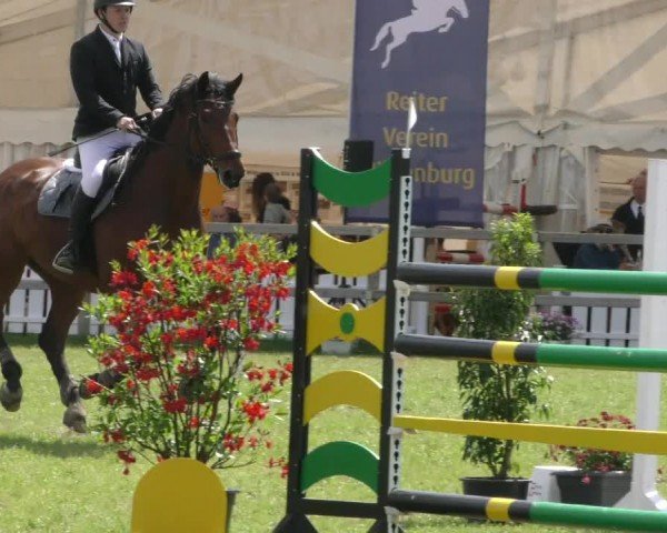 Reitturnier Wilkenburg 2024
