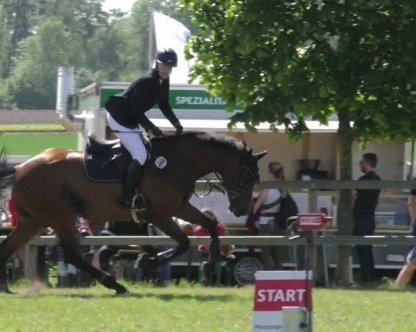 Reitturnier Wilkenburg 2024