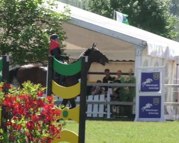 Reitturnier Wilkenburg 2024