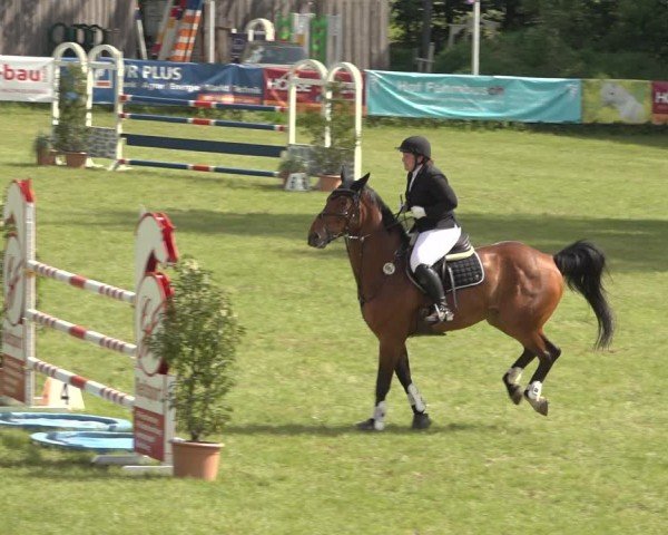 Reitturnier Scharnebeck 2024