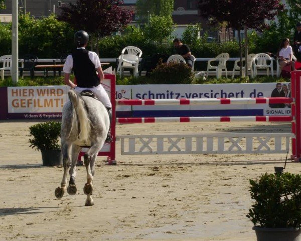 Reitturnier Bornheim-Widdig 2024