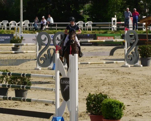 Reitturnier Bornheim-Widdig 2024