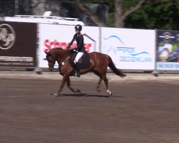 Reitturnier Lentzke - Reitanlage Krehl 2024