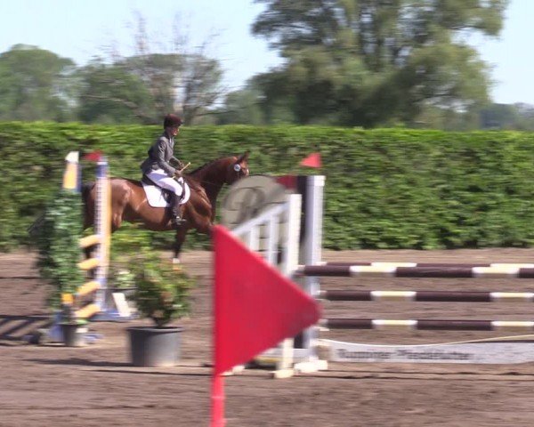 Reitturnier Lentzke - Reitanlage Krehl 2024