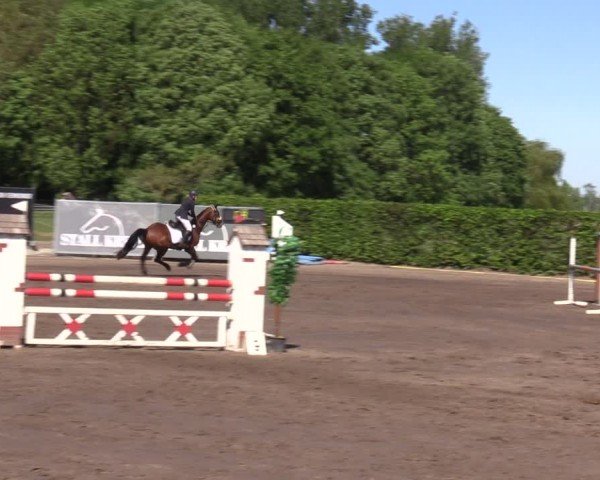 Reitturnier Lentzke - Reitanlage Krehl 2024
