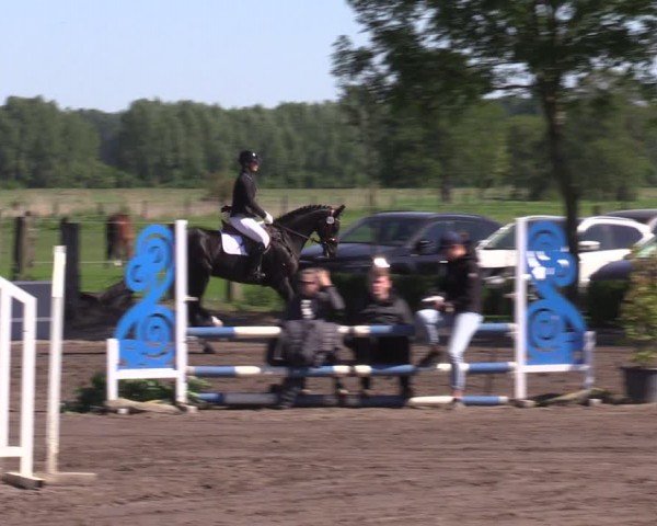 Reitturnier Lentzke - Reitanlage Krehl 2024