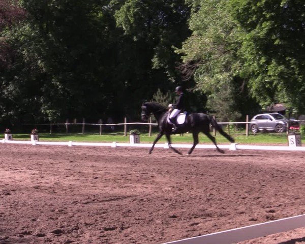 Reitturnier Helmsdorf 2024