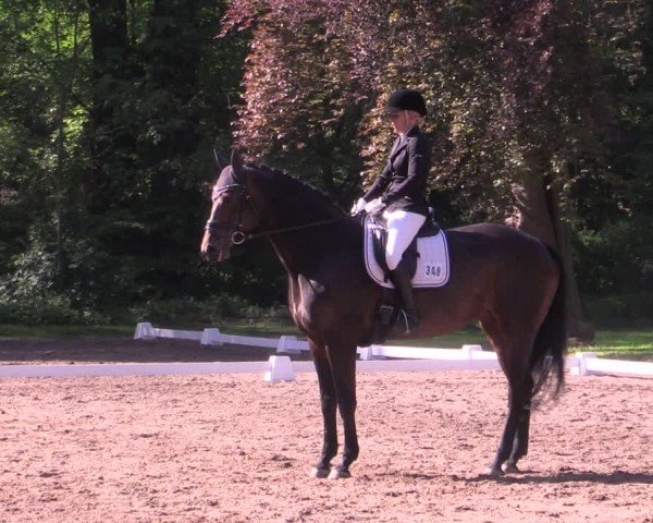 Reitturnier Helmsdorf 2024