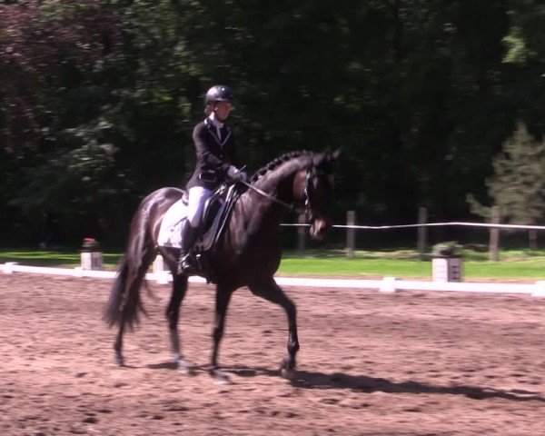 Reitturnier Helmsdorf 2024