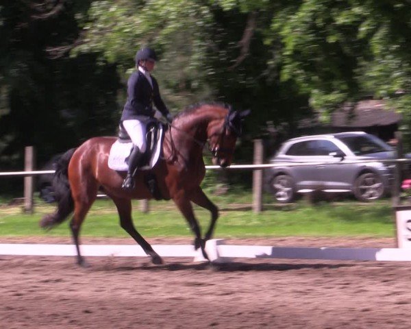 Reitturnier Helmsdorf 2024