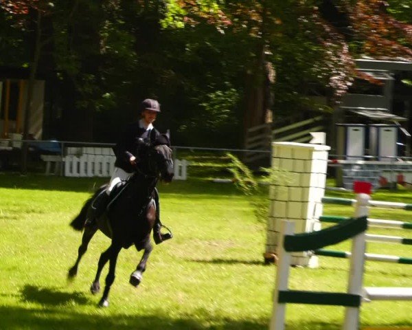 Reitturnier Helmsdorf 2024