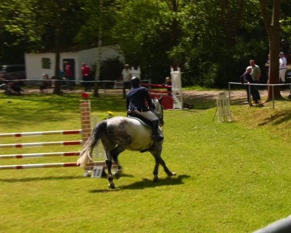 Reitturnier Helmsdorf 2024