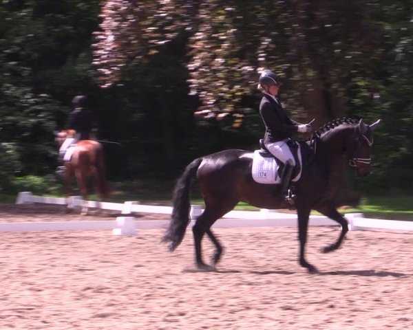 Reitturnier Helmsdorf 2024