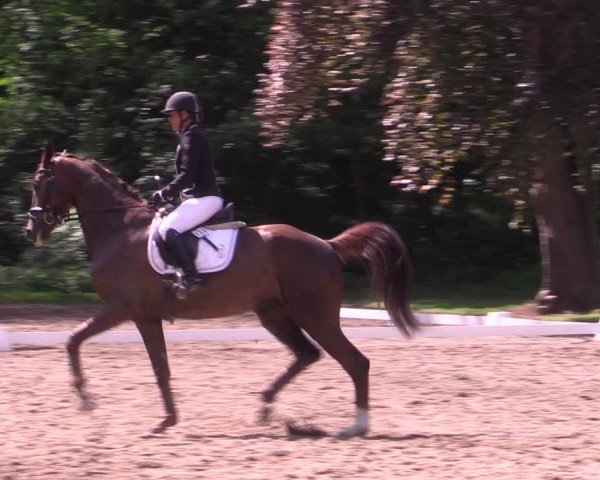 Reitturnier Helmsdorf 2024