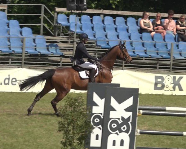 Reitturnier Scharnebeck 2024
