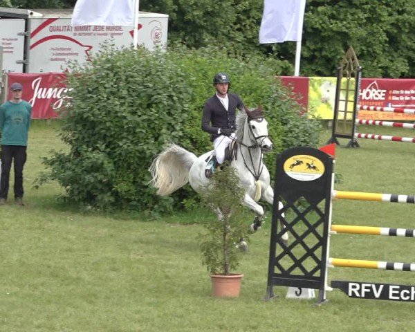 Reitturnier Scharnebeck 2024