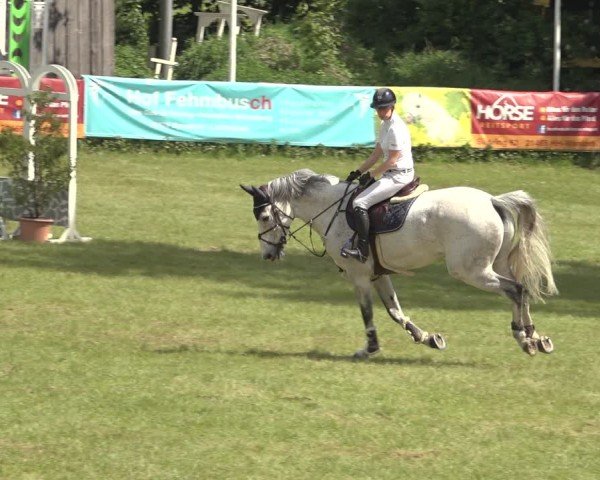 Reitturnier Scharnebeck 2024