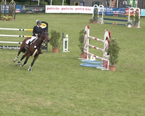 Reitturnier Scharnebeck 2024