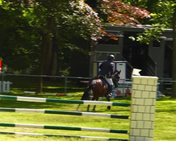 Reitturnier Helmsdorf 2024