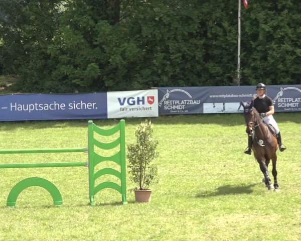 Reitturnier Scharnebeck 2024