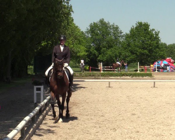 Reitturnier Hamm-Rhynern 2024