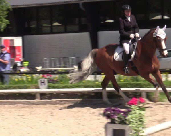 Reitturnier Hamm-Rhynern 2024