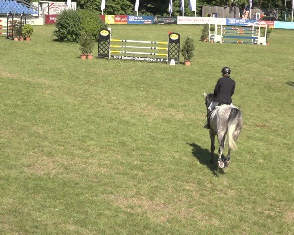 Reitturnier Scharnebeck 2024
