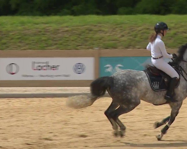 Reitturnier Tiefenhof/Opf. 2024