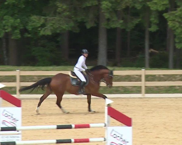 Reitturnier Tiefenhof/Opf. 2024