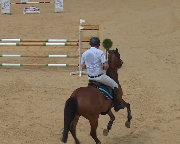 Reitturnier Tiefenhof/Opf. 2024