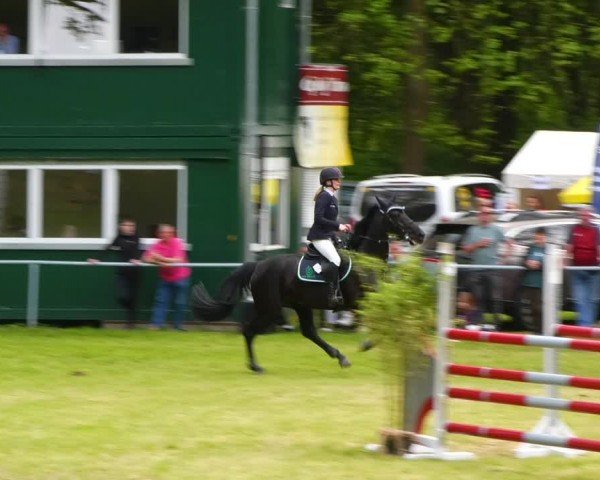 Reitturnier Helmsdorf 2024