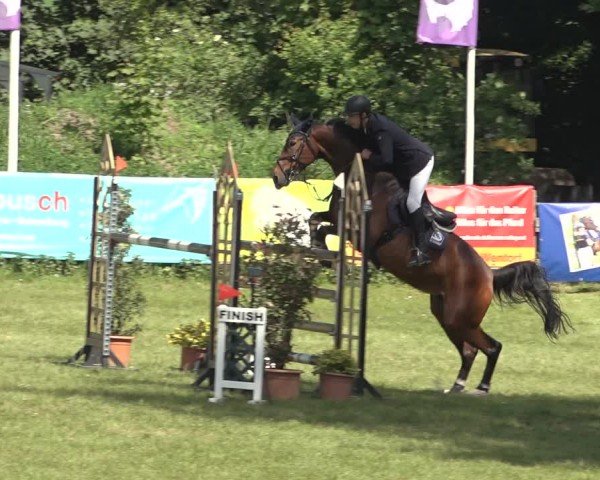 Reitturnier Scharnebeck 2024