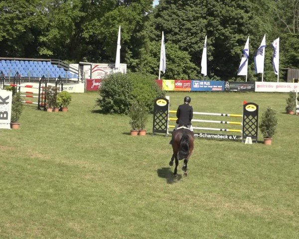 Reitturnier Scharnebeck 2024