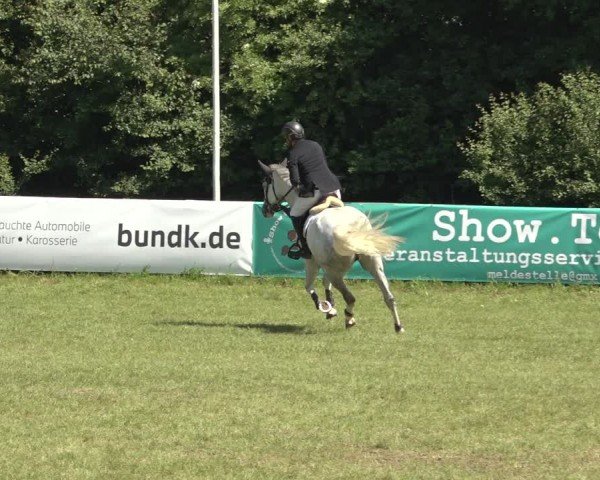 Reitturnier Scharnebeck 2024